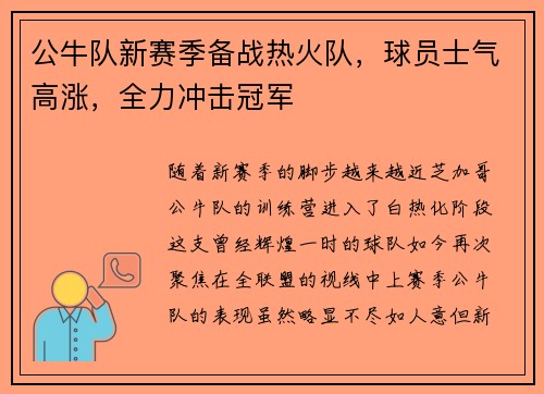 公牛队新赛季备战热火队，球员士气高涨，全力冲击冠军